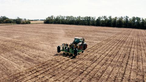 Subsurface drip irrigation in Hungary