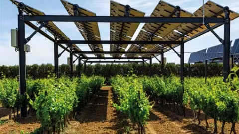 Agrivoltaïsme dynamique : production conjointe de cultures et d’énergie