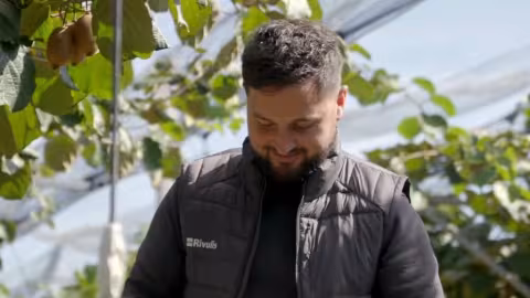 How precision irrigation helps orchards adapt to rising temperatures