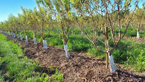 How to succeed its SDI installation ?