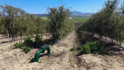 le groupe scarabelli rachete RIS Iberia