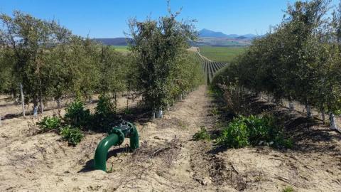 le groupe scarabelli rachete RIS Iberia