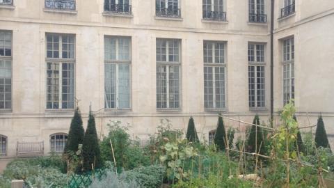 communal garden in Paris historic center