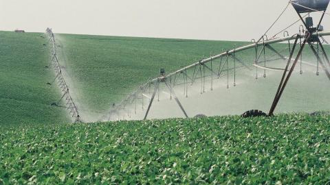 Une bonne utilisation des régulateurs de pression permet de maintenir au mieux l’efficience d’un système d’irrigation.