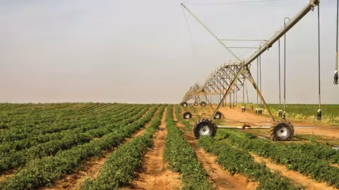 Agriculture in Senegal