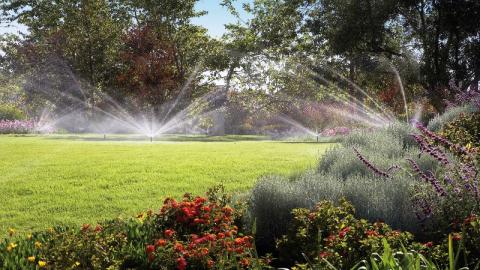  Nowadays, different needs and requirements have arisen for home landscape gardens.