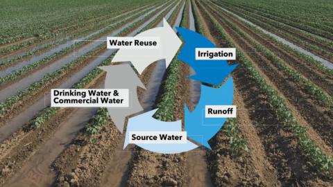 As water rounds that circle in irrigated fields, it contributes significantly to another powerful tool that puts farmers at the center of sustainability—carbon capture.