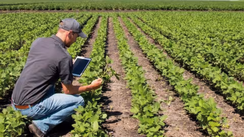 digital technology  for agriculture 
