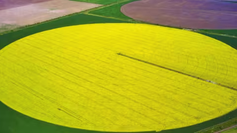 Le mode originel et le plus utilisé d’une irrigation par pivot est un apport d'eau décrivant une surface circulaire, dont le centre est situé au milieu du champ. 