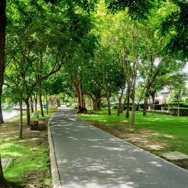 Optimiser l'irrigation en milieu urbain : les exemples de Sabadell et Paris