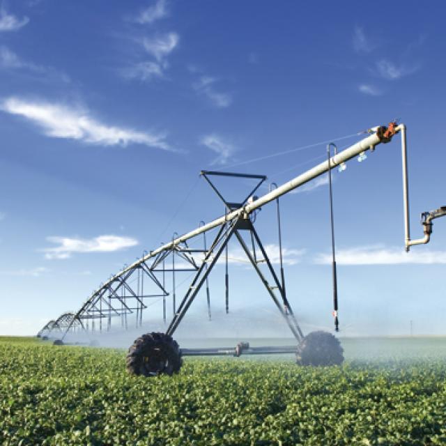 IRRIGATION TECHNIQUES OF THE FUTURE Combining A Number Of Different   Ag174 Techniquesirrigationadobestock 968170  