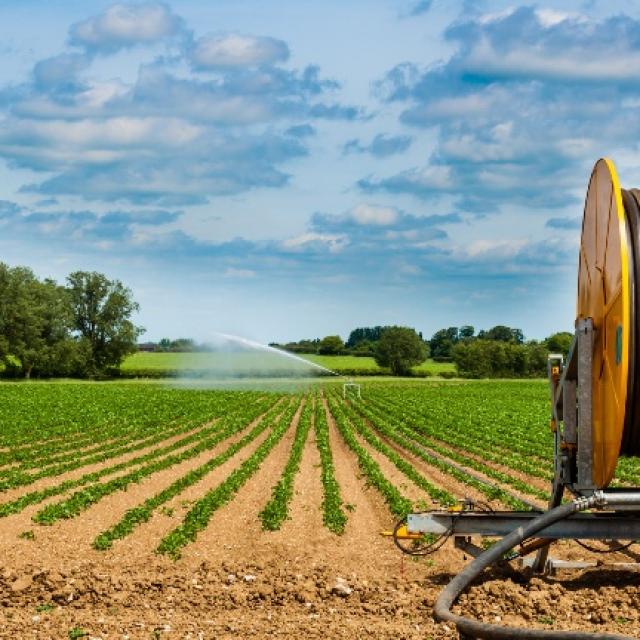 Pivots, hose-reels or drip irrigation  An irrigation system