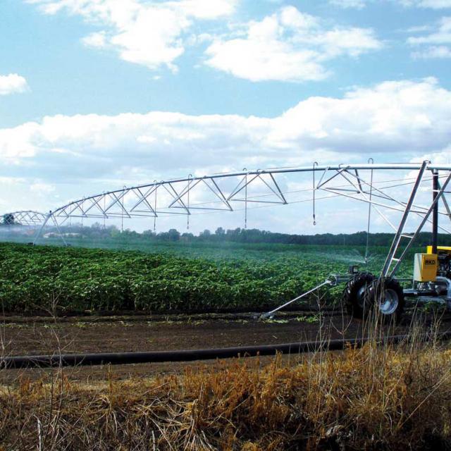 Pivots, hose-reels or drip irrigation  An irrigation system