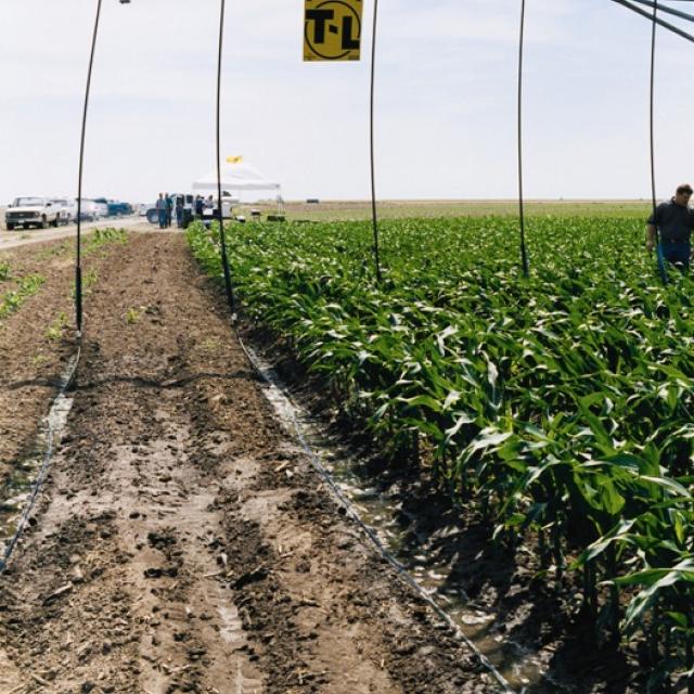 Système d'arrosage goutte-à-goutte mobile - PMDI™ - T-L Irrigation Company