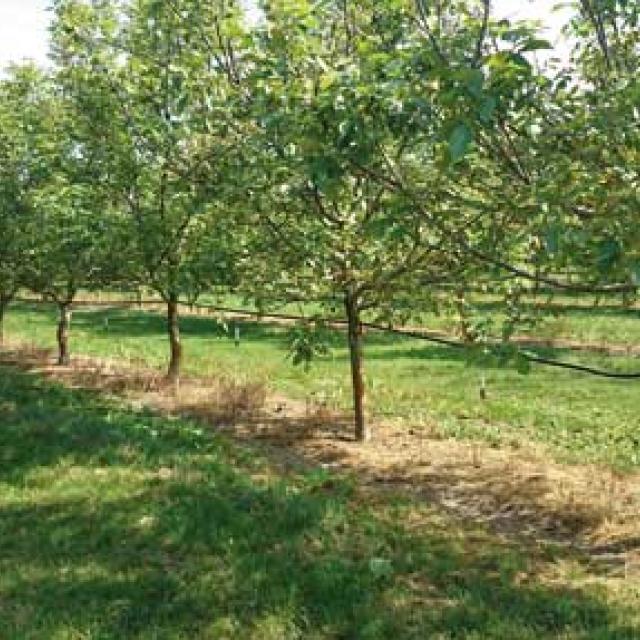 Matériel de goutte a goutte, irrigation et aspersion pour tous