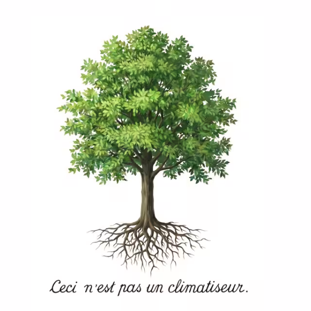 L'arbre n'est pas un climatiseur