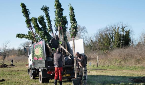 530 trees planted on the Fréjus Nature Base on the Mediterranean coast